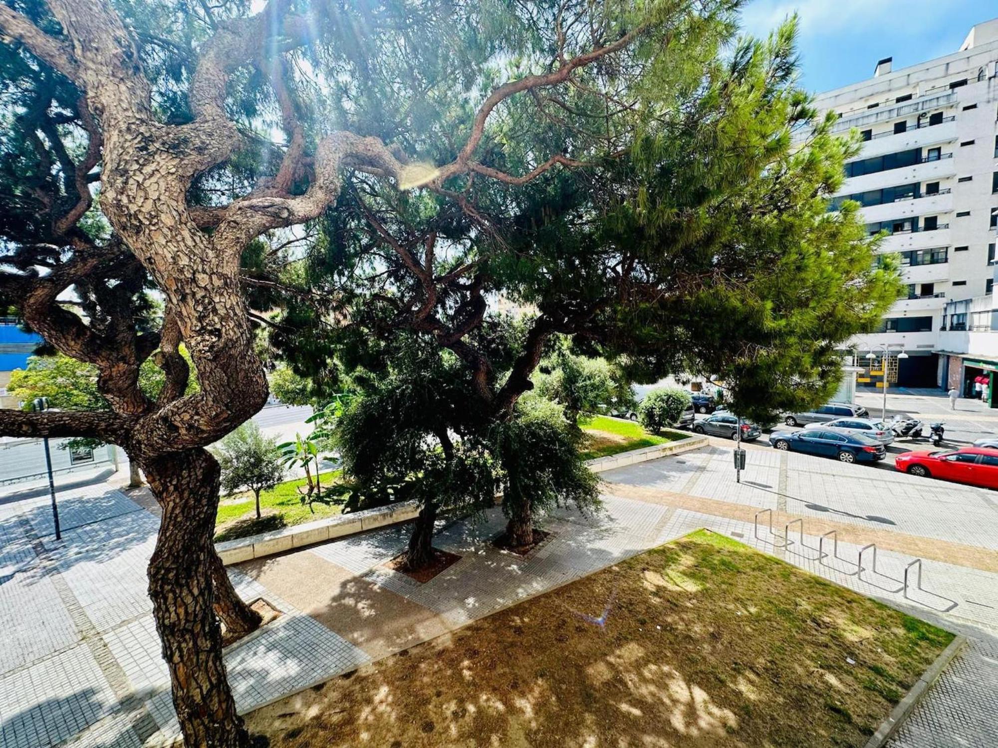 Ferienwohnung Avenida Portugal Con Ascensor Grupo Ac Gestion Cádiz Exterior foto